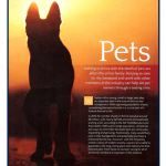 Blue Cross Pet Bereavement Support Service