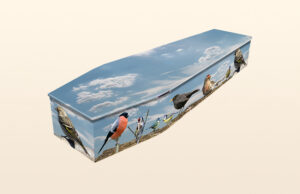 ian hazel funerals, Colourful coffins range, birds